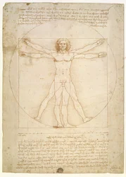 Le proporzioni della figura umana (da Vitruvio), ca. 1492